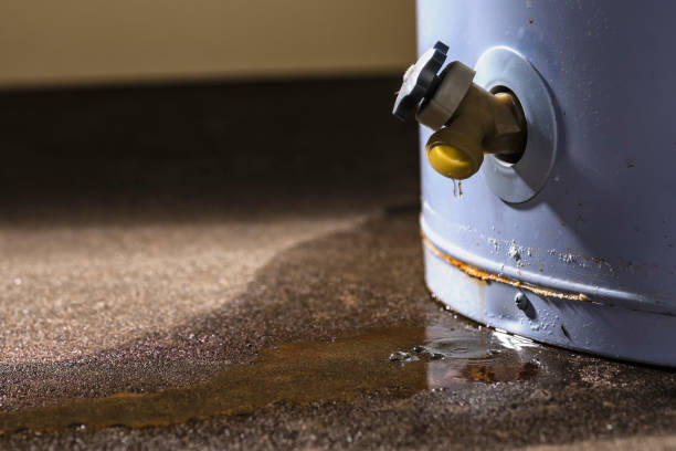 Best Local water damage restoration  in Cresaptown, MD