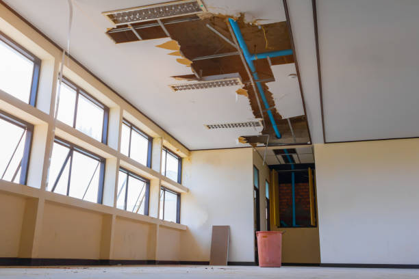 Best Water damage restoration near me  in Cresaptown, MD