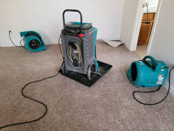  Cresaptown, MD Water damage restoration Pros