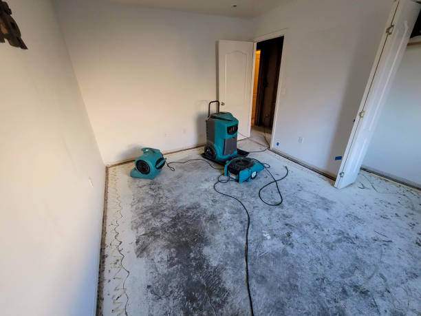 Best Sewage cleanup and water damage restoration  in Cresaptown, MD