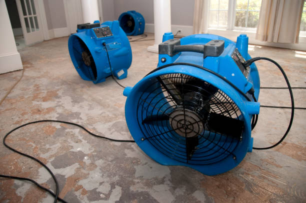 Best Emergency water extraction  in Cresaptown, MD