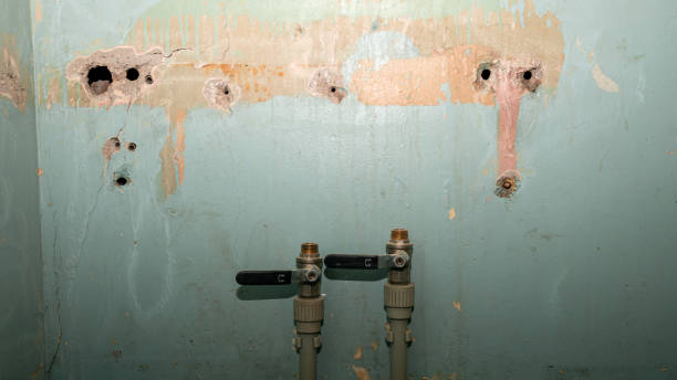 Best Flood damage cleanup  in Cresaptown, MD