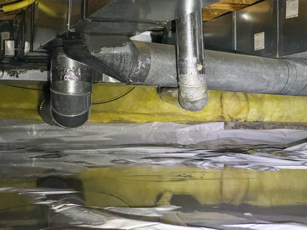 Best Fire Damage Restoration  in Cresaptown, MD