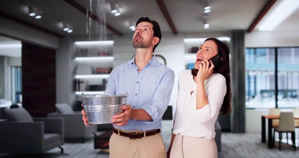 Best Local water damage restoration  in Cresaptown, MD