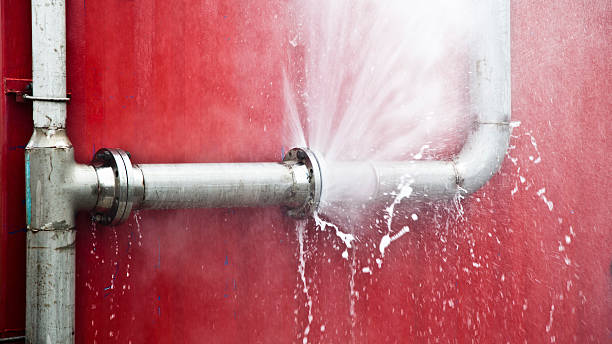 Best Carpet water damage restoration  in Cresaptown, MD