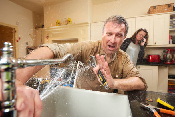 Best Residential water damage restoration  in Cresaptown, MD